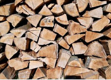 Brennholz kaminholz feuerholz gebraucht kaufen  Heroldstatt