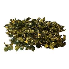 Ashland Faux Pothos Leaves Artificial Greenery Vines Decor Garland 6ft 3 pc Lot for sale  Shipping to South Africa