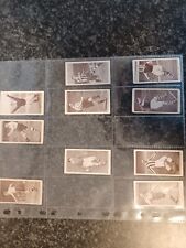 Churchman cigarette cards for sale  Shipping to Ireland