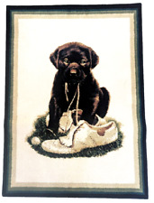 Puppy old shoe for sale  Cincinnati