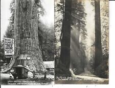 Redwood trees lot for sale  Olathe