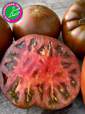 Tomatensamen sweet marmande gebraucht kaufen  Tittmoning