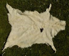 Real goatskin rug for sale  NEWPORT