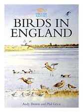 Birds england andy for sale  UK