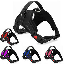 Dog harness pull for sale  SOUTHEND-ON-SEA