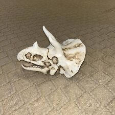 Triceratops bone fossil for sale  Davis