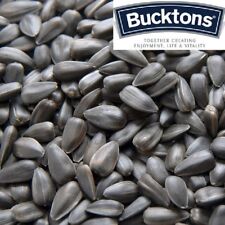 Bucktons black sunflower for sale  WOLVERHAMPTON