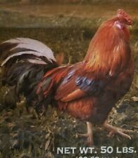 Empty chicken feed for sale  Amarillo