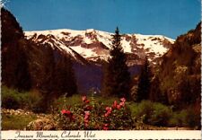 Postcard treasure mountain for sale  Howe