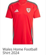 Wales 2024 football for sale  BILLINGHAM