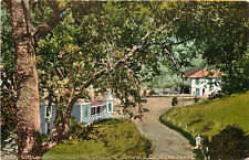 Vintage Postcard Cottages and Hotel the Geysers Sonoma CA Mitchell 2028, used for sale  Shipping to South Africa