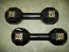 Thick iron dumbbells for sale  Abingdon