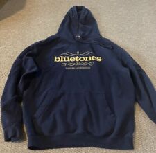 Bluetones hoodie rare for sale  SOUTHAMPTON