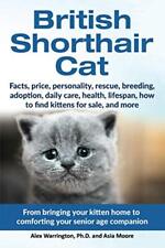 British shorthair cat for sale  UK