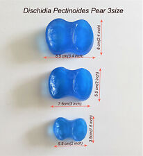 Veiner resin molds, Dischidia Pectinoides Pear. 3 Size Set. #Ak112. for sale  Shipping to South Africa