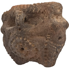 Ánfora de cerámica antigua. Ornamento Trypillia cultura 5400 y 2750 aC, usado segunda mano  Embacar hacia Argentina