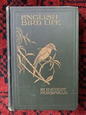 1908 english bird for sale  EXMOUTH