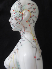 Acupuncture professional model for sale  WAKEFIELD