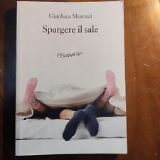 Morozzi spargere sale usato  Torino