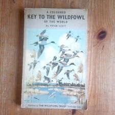 Coloured key wildfowl for sale  WOODBRIDGE