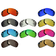 Replacement polarized lenses for sale  Hebron