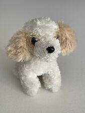 Maltipoo teddy dog for sale  Oceanside