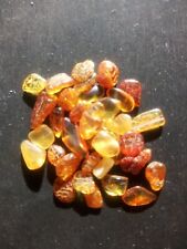 Pezzi ambra naturale usato  Cividale Del Friuli