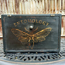 Antique entomology collectors for sale  SAWBRIDGEWORTH