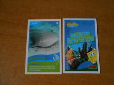 Figurina card spongebob usato  Torino