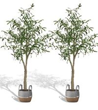 Pack artificial olive for sale  North Las Vegas
