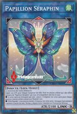 Seraphim papillon chim d'occasion  Argenteuil