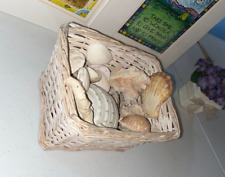 Basket sea shells for sale  Fenton