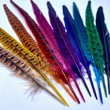 Natural pheasant tail for sale  EXETER