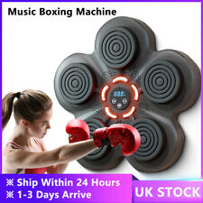 Boxing training target for sale  WORCESTER