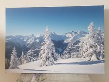 Panorama berge alpen gebraucht kaufen  Freilassing