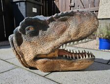 Huge rex head for sale  MONTROSE