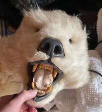 taxidermy real bear for sale  Dover