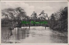 Surrey postcard chinese for sale  WATERLOOVILLE