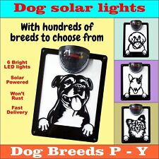 Dog solar wall for sale  Shipping to Ireland