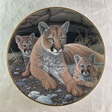 Mountain lioness cubs for sale  Vergas