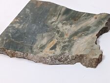 Petrified wood green for sale  Colfax
