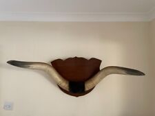 Vintage large cow for sale  MAIDSTONE