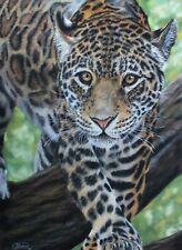 Jaguar painting limited for sale  RHYL