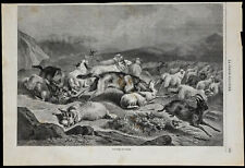 1869 attaque loups d'occasion  France