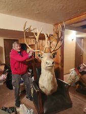caribou head mount for sale  Spokane