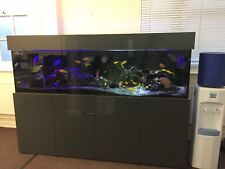 custom fish tanks for sale  UCKFIELD