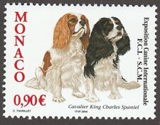 CAVALIER KING CHARLES SPANIEL ** Arte de selo postal de cachorro internacional ** Ótimo presente ** comprar usado  Enviando para Brazil