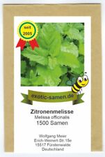 Zitronenmelisse melissa fficin gebraucht kaufen  Fürstenwalde/Spree