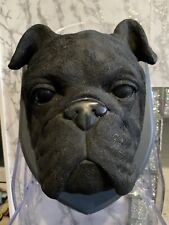Large dog head for sale  HEMEL HEMPSTEAD