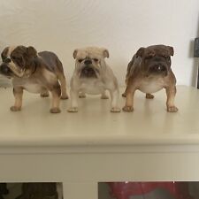 Royal doulton bulldogs for sale  MANCHESTER